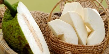 SUKUN POTENSIAL SEBAGAI BAHAN MAKANAN POKOK