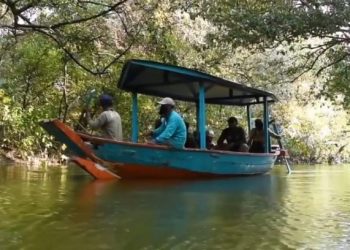 Pemkot Surabaya Melakukan Normalisasi Saluran dan Pelebaran Sungai di Kawasan Mangrove Wonorejo