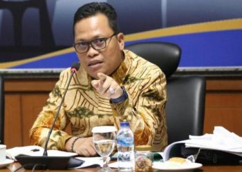 Hasan Basri, Menyampaikan Perlu adanya Kesinambungan Program dan Sinergitas antar Lembaga dalam Upaya Rehabilitatif ODGJ