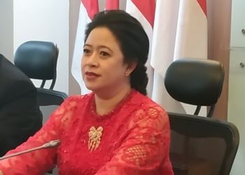 Ketua DPR RI Puan Maharani Menyoroti Tingginya Angka Kematian dalam Kasus Gagal Ginjal Akut Misterius