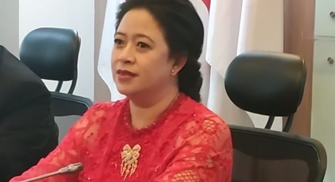 Ketua DPR RI Puan Maharani Menyoroti Tingginya Angka Kematian dalam Kasus Gagal Ginjal Akut Misterius