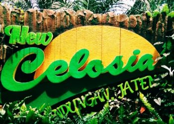 Taman Bunga Celosia Wisata Candi Gedong Songo Banyak Dikunjungi Masyarakat