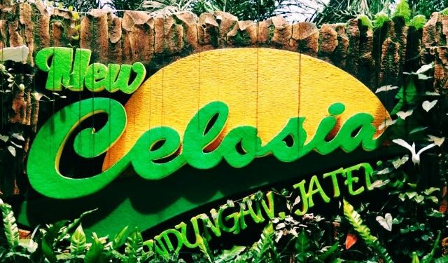 Taman Bunga Celosia Wisata Candi Gedong Songo Banyak Dikunjungi Masyarakat