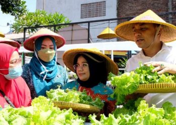 Wali Kota Surabaya Mengunjungi Kampung Sayur Ahong Kenjeran