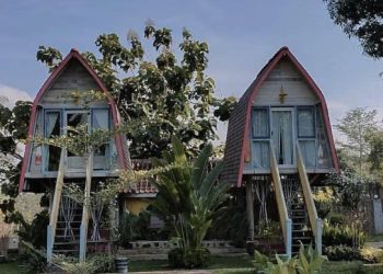 Wisata Alam Desa Rimba Resort Trendy Nyaman Untuk Semua Kalangan