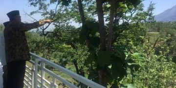 Menyongsong Lahirnya Super Power Indonesia