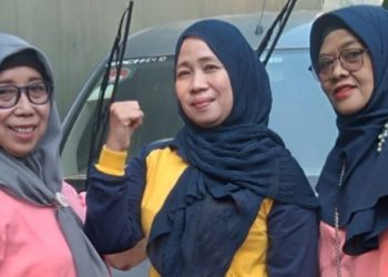 Rutinitas Pemeriksaan Jentik Nyamuk, Oleh Petugas Jumantik