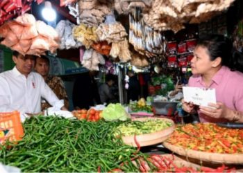 Presiden Jokowi Tinjau Stok dan Harga Bahan Pokok di Pasar Kota Wonogiri