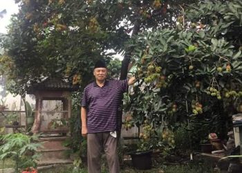 Hijau, Kuning dan Merah Warna-warni buah Rambutan. Itulah Rahasia Sunatullah yang Belum Diketahui Manusia