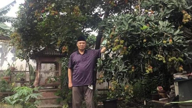Hijau, Kuning dan Merah Warna-warni buah Rambutan. Itulah Rahasia Sunatullah yang Belum Diketahui Manusia