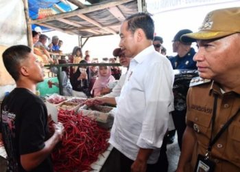 Presiden Jokowi Kunjungi Pasar Kota Agung, Tanggamus: Interaksi Langsung dengan Pedagang dan Berikan Bantuan Modal Kerja