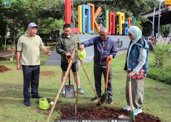 Delapan Pohon Cempaka Ditanam di Taman Link in Park