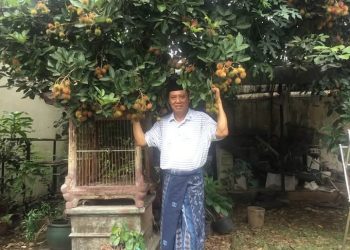 KH. As’ad Ali Mantan Waka PBNU: Bernaung di Bawah Pohon Rambutan sebagai Lambang Kebahagiaan dan Ketenangan Hidup