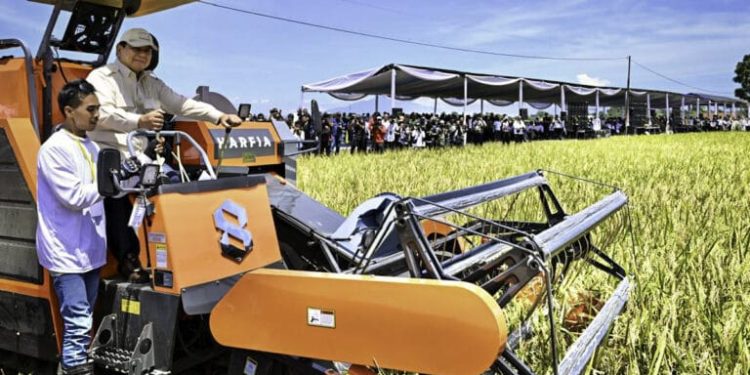 Panen Raya Serentak di 14 Provinsi, Presiden Prabowo Tegaskan Komitmen Wujudkan Kedaulatan Pangan