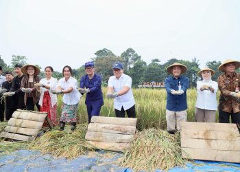 Wamendagri Bima Arya Tekankan Kemandirian dan Ketahanan Pangan dalam Panen Raya di Bogor