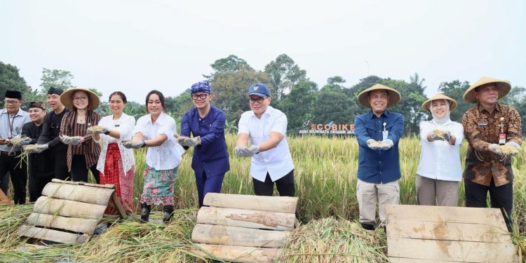 Wamendagri Bima Arya Tekankan Kemandirian dan Ketahanan Pangan dalam Panen Raya di Bogor