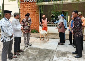 Camat Cempaka Putih Serahkan 14 Ekor Kambing Kurban, di Hari Raya Idul Adha