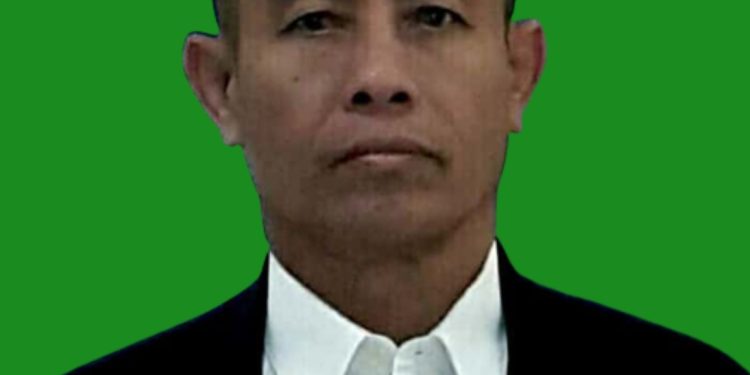 DAO dan Jalan Menuju Indonesia Emas 2045