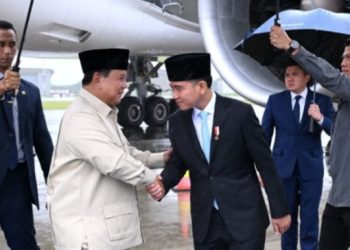 Presiden Prabowo Kembali ke Tanah Air, Perjuangkan Solusi Dua Negara dan Lompatan Kerja Sama Ekonomi